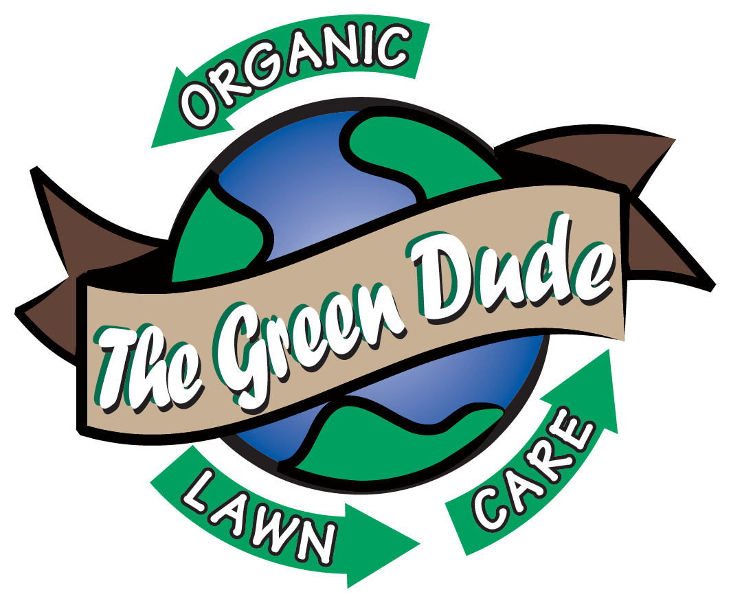 Trusted Lawn Care Service in Kyle | The Green Dude - Trusted Lawn Care Service in Kyle